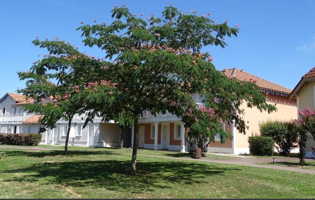 Appartement Au Calme Face Au Lac Marciac Kültér fotó